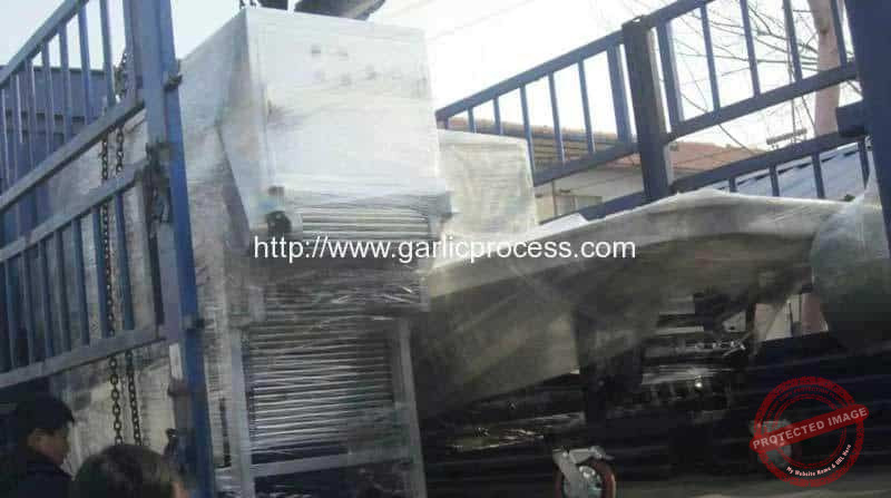 Malaysia-Garlic-Clove-Production-Line-Delivery